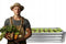 Verhoogde moestuinbak - Rechthoekig - Verzinkt - 140x60x30 cm