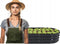 Verhoogde moestuinbak - 180x90x30cm - ovaal - antraciet