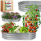 Verhoogde moestuinbak - Ovaal - Gegalvaniseerd - 120x60x30 cm