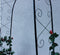 Rozenboog - zwart - metaal - 110x39x230cm
