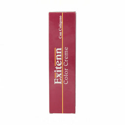 Permanente Kleur Exitenn Color Creme Nº 10/0.070 (60 ml)