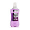 Mondwater Zidac Laboratories Absolute Ice 500 ml