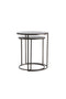 Light&living Bijzettafel S/2 Ø41x46+Ø49x52 cm TALCA donker bruin