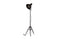 BePureHome Spotlight Staande Lamp Zwart