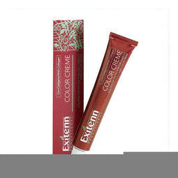 Permanente Kleur Color Creme Exitenn Nº 12/N2 (60 ml)