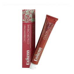 Permanente Kleur Color Creme Exitenn Nº 12/0.4 (60 ml)