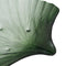 Dienblad Groen Schelp 33 x 31 cm