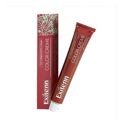 Permanente Kleur Nº 9,3 Exitenn Nº 9,3 Golden Light Blonde (60 ml)