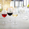 Champagneglas Ebro Transparant Glas (160 ml) (6 Stuks)