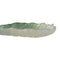 Dienblad Groen Blad van een plant 31 x 18 cm