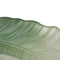Dienblad Groen Blad van een plant 31 x 18 cm