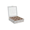 Box for Infusions DKD Home Decor 24,5 x 24,5 x 6 cm Kristal Beige Metaal Terra cotta Wit Groen Li...