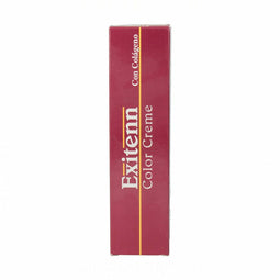 Permanente Kleur Exitenn Color Creme Nº 10.00 (60 ml)