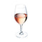 Set van bekers Chef & Sommelier Evidence Wijn 6 Stuks Transparant 270 ml