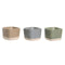 Set voor voorgerechtjes DKD Home Decor 21,6 x 15 x 1,5 cm Porselein Multicolour Bamboe Scandinavisch