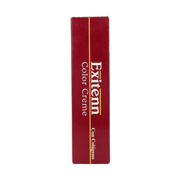 Permanente Kleur Exitenn Creme Nº 100.4 60 ml