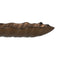 Dienblad Bruin Blad van een plant 31 x 18 cm