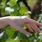 Vinesime Le Clos Chardonnay hand cream 50ml