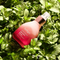 Jurlique Herbal Recovery Signature serum 50ml