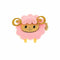 Haaraccessoires Araban Schaap