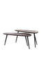 Light&living Salontafel S/2 84x39x34+84x39x39 cm VIEJO hout bruin+zwart