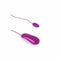Kogel Vibrator B Swish BSBND0880 Framboos