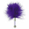 Feather Tickler S Pleasures Tickler Paars