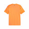 Heren Voetbal T-shirt met Korte Mouwen Puma Valencia CF 3rd Kit 23/24 Oranje Maat M