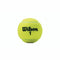 Tennisballen Wilson Championship XD (3 pcs)