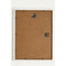 Schilderij Crochetts Alice Multicolour Hout MDF 33 x 43 x 2 cm Konijnenvlees