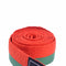 Martial Arts Band Van Allen Bicol 240 cm Oranje