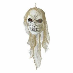 Halloween Decoraties Schedel