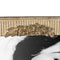 Fotolijsten Beige Polyresin 22,2 x 2,5 x 27,2 cm