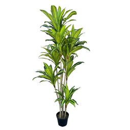 Decoratieve plant Polyurethaan Cement 180 cm