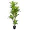 Decoratieve plant Polyurethaan Cement 180 cm