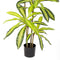 Decoratieve plant Polyurethaan Cement 180 cm