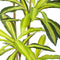 Decoratieve plant Polyurethaan Cement 180 cm