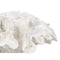 Decoratieve figuren Wit Koraal 30 x 30 x 11 cm