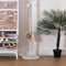 Decoratieve plant Versa Metaal Plastic Cement 74 x 97 x 74 cm