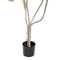 Decoratieve plant Polyurethaan Cement Monstera 180 cm