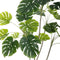 Decoratieve plant Polyurethaan Cement Monstera 180 cm
