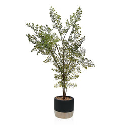 Decoratieve plant Versa Metaal Keramisch polyestyreen Plastic 39 x 71 x 53 cm