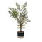 Decoratieve plant Versa Metaal Keramisch polyestyreen Plastic 39 x 71 x 53 cm