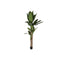 Decoratieve plant Home ESPRIT Polyethyleen Cement Bananenplant 90 x 90 x 290 cm