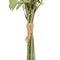 Decoratieve Bloemen Crème 20 x 20 x 50 cm