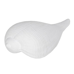 Decoratieve figuren Wit Schelp 15 x 7 x 5 cm