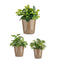 Pottenset Ø 14 cm Ø 22 cm Ø 17 cm Cónica 3 Onderdelen Taupe