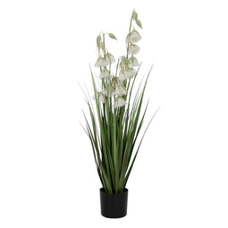 Decoratieve plant PVC Cement Weefsel 91 cm