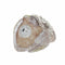 Decoratieve figuren DKD Home Decor Groen Roze Natuurlijk dieren Shabby Chic 20,5 x 10 x 17 cm (3...