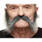 Valse baard My Other Me Grijs